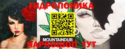 spice Боровичи