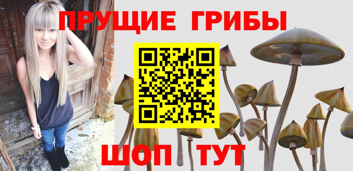 Псилоцибиновые грибы Cubensis  Галлюциногенные грибы Psilocybine cubensis  Вход с VPN  Сочи 